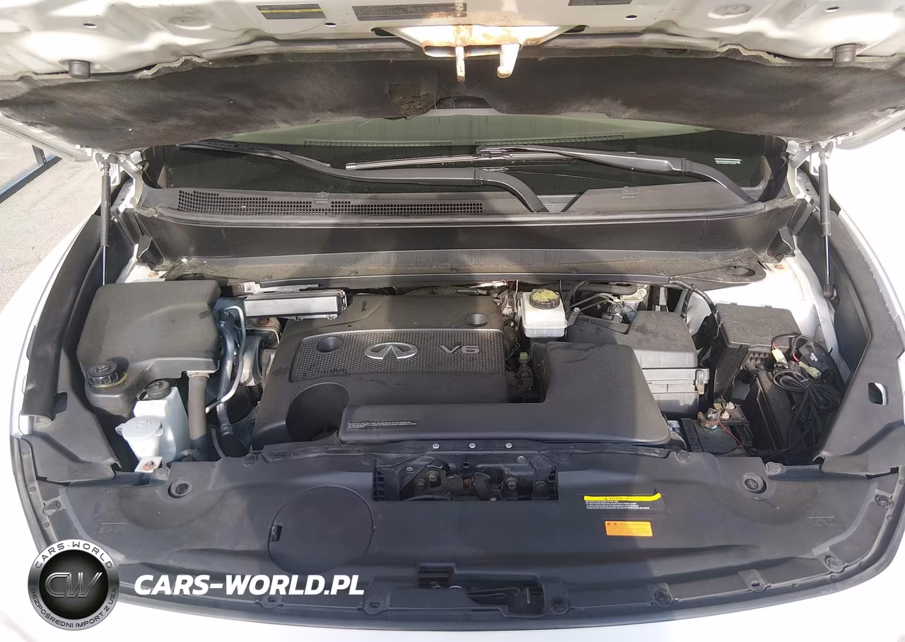 2014 Infiniti Qx60 VIN:5N1AL0MM3EC544437 - 10
