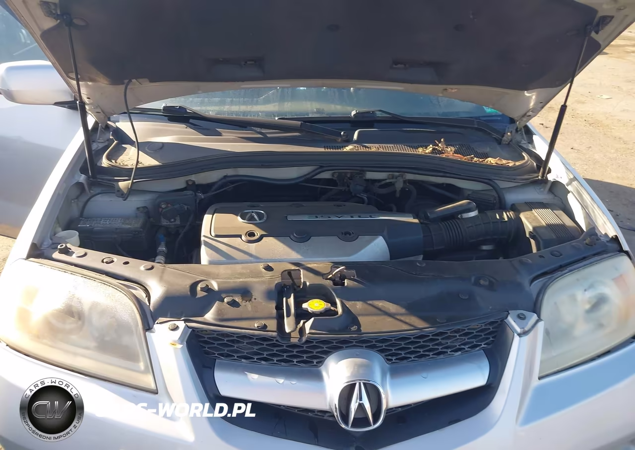 2004 Acura Mdx VIN:2HNYD18634H502387 - 10