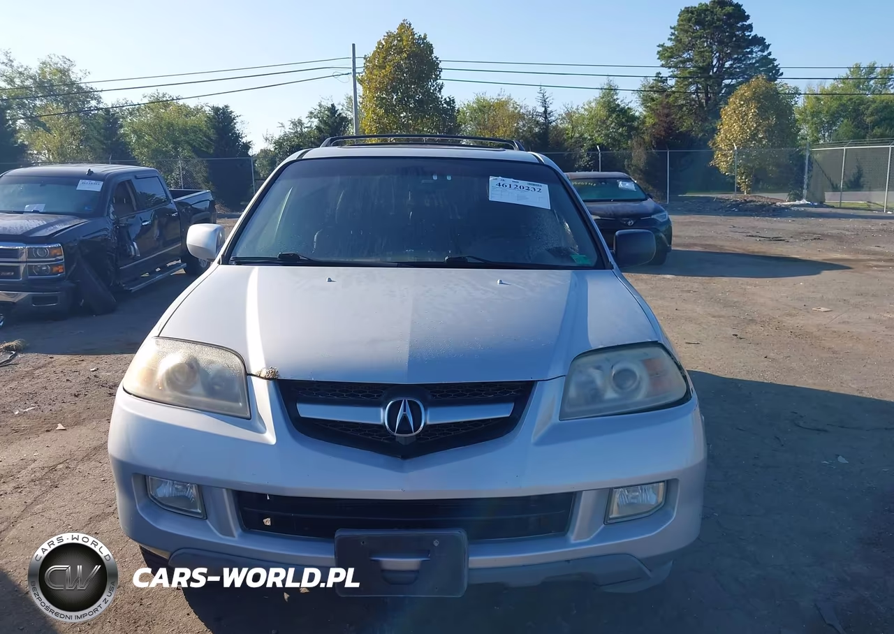 2004 Acura Mdx VIN:2HNYD18634H502387 - 12
