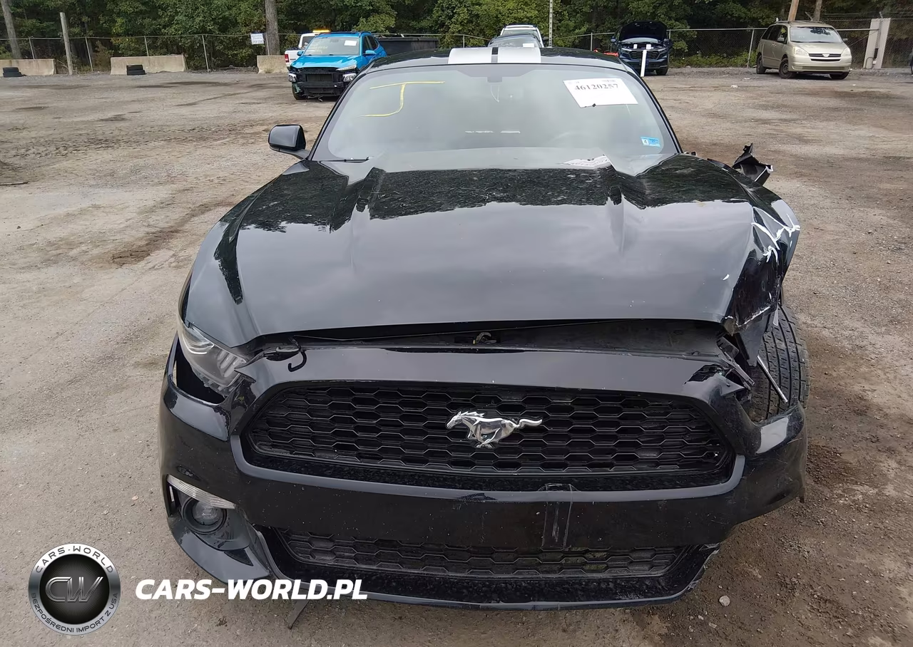 2017 Ford Mustang VIN:1FA6P8TH2H5308975 - 12