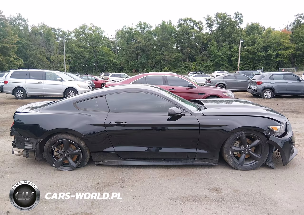 2017 Ford Mustang VIN:1FA6P8TH2H5308975 - 13