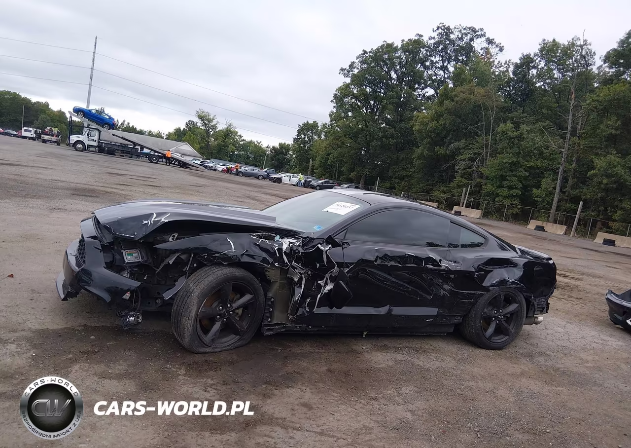 2017 Ford Mustang VIN:1FA6P8TH2H5308975 - 14