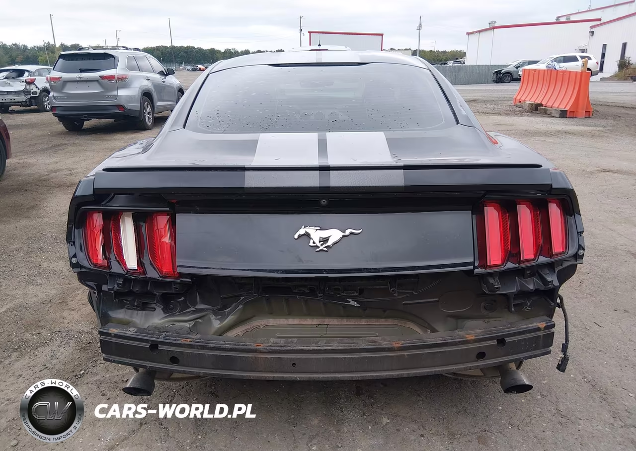 2017 Ford Mustang VIN:1FA6P8TH2H5308975 - 16