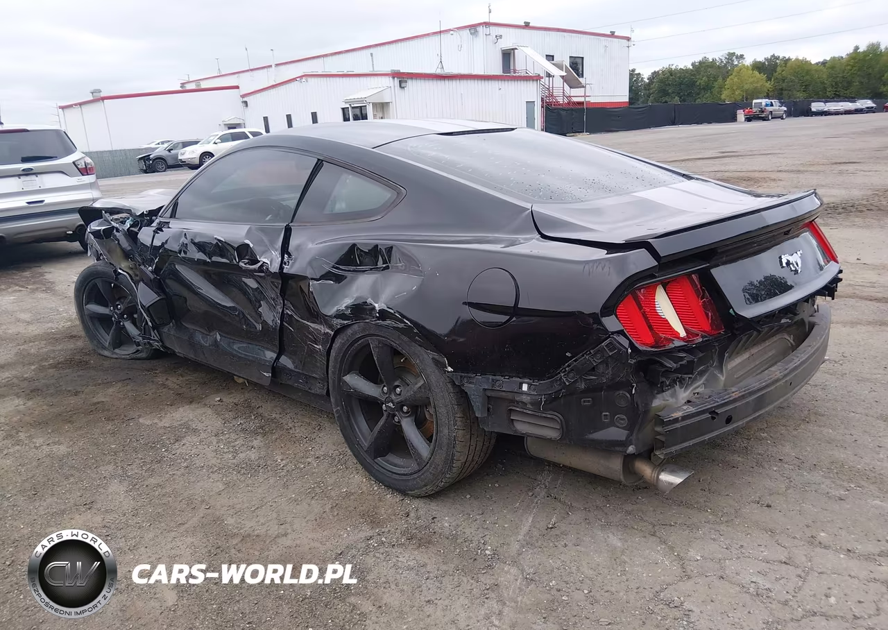 2017 Ford Mustang VIN:1FA6P8TH2H5308975 - 3
