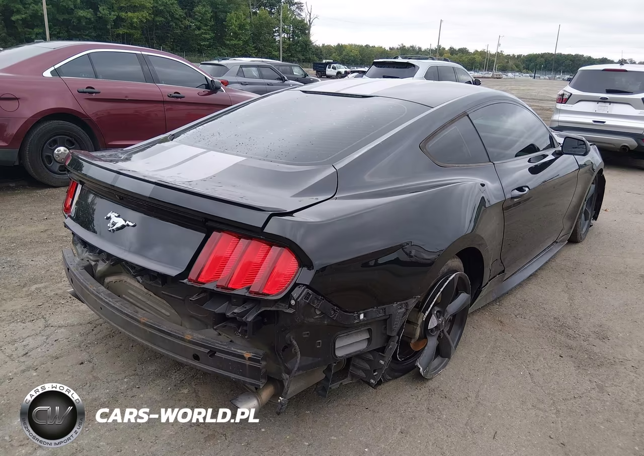 2017 Ford Mustang VIN:1FA6P8TH2H5308975 - 4
