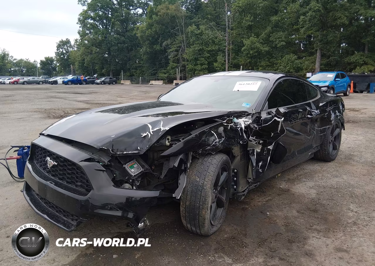 2017 Ford Mustang VIN:1FA6P8TH2H5308975 - 6