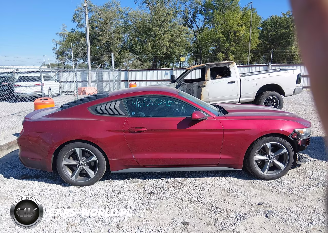 2015 Ford Mustang V6 VIN:1FA6P8AM0F5338439 - 14