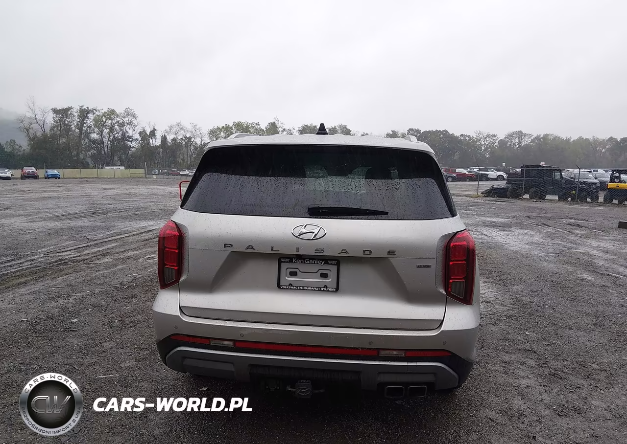 2025 Hyundai Palisade Sel VIN:KM8R2DGE4SU885885 - 17
