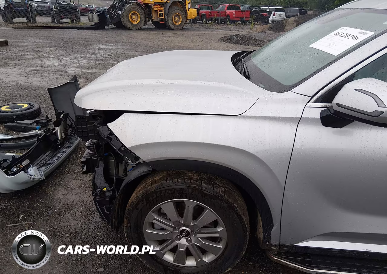 2025 Hyundai Palisade Sel VIN:KM8R2DGE4SU885885 - 19