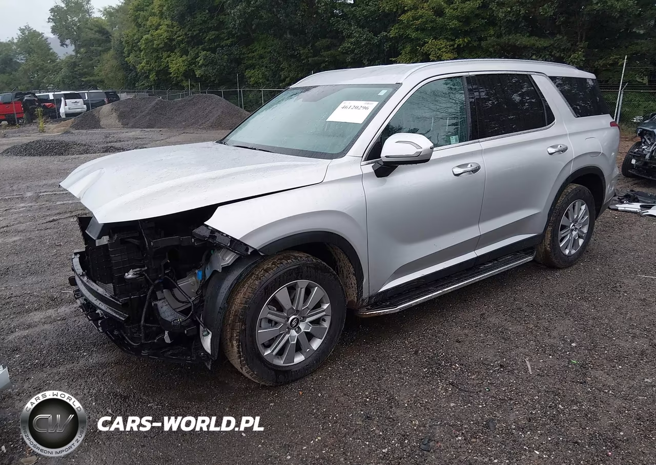 2025 Hyundai Palisade Sel VIN:KM8R2DGE4SU885885 - 2