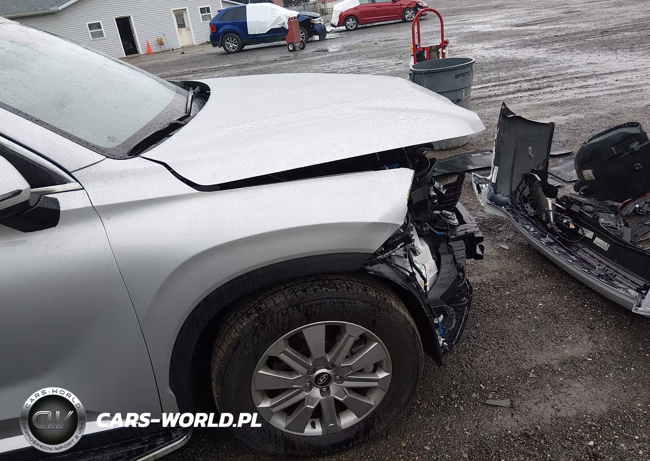 2025 Hyundai Palisade Sel VIN:KM8R2DGE4SU885885 - 20