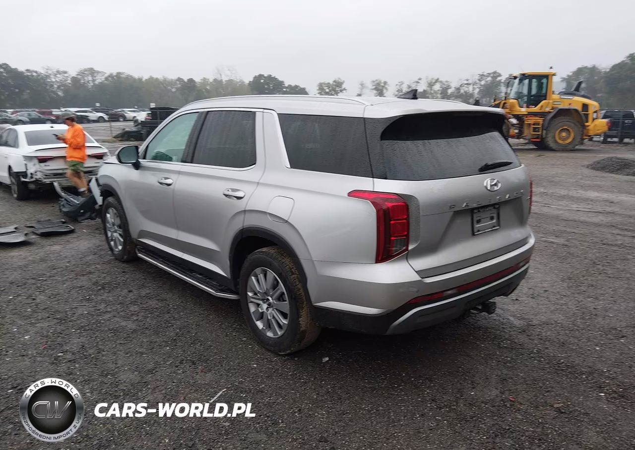 2025 Hyundai Palisade Sel VIN:KM8R2DGE4SU885885 - 3