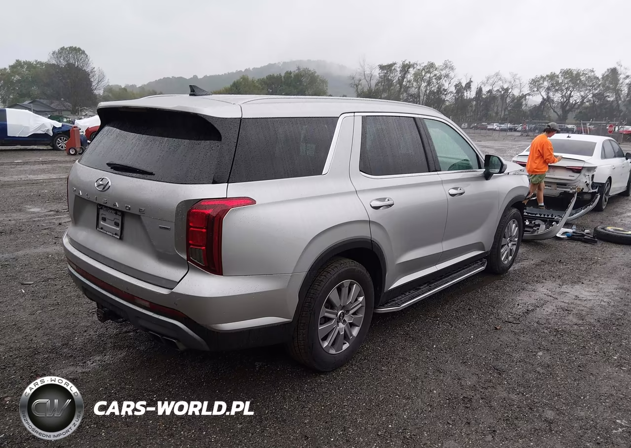 2025 Hyundai Palisade Sel VIN:KM8R2DGE4SU885885 - 4