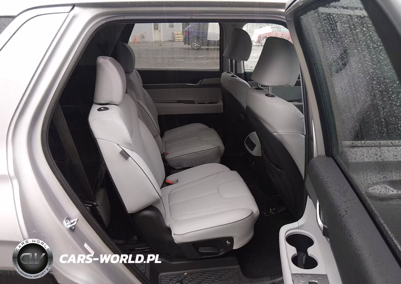 2025 Hyundai Palisade Sel VIN:KM8R2DGE4SU885885 - 8