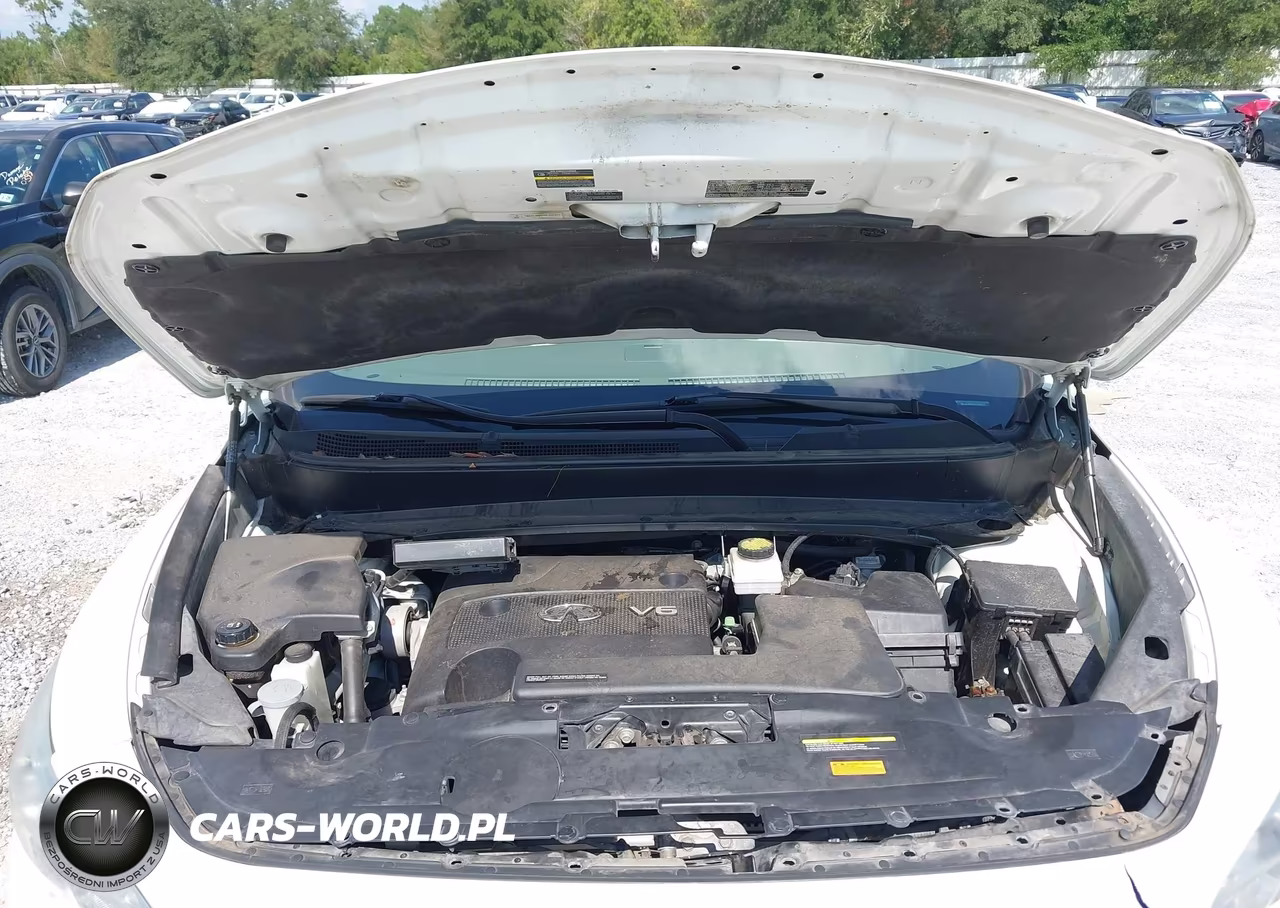 2013 Infiniti Jx35 VIN:5N1AL0MM5DC307477 - 10