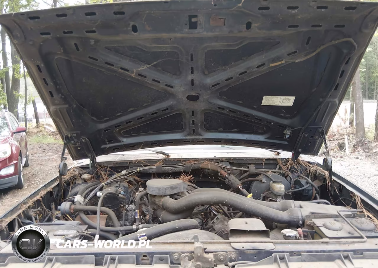 1990 Ford F150 VIN:1FTDF15N0LNA38202 - 10