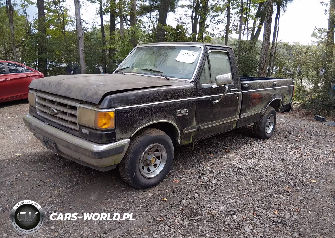 1990 Ford F150 VIN:1FTDF15N0LNA38202 - 2