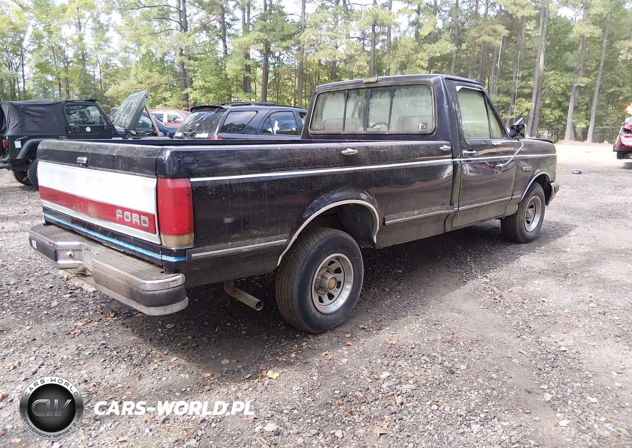 1990 Ford F150 VIN:1FTDF15N0LNA38202 - 4
