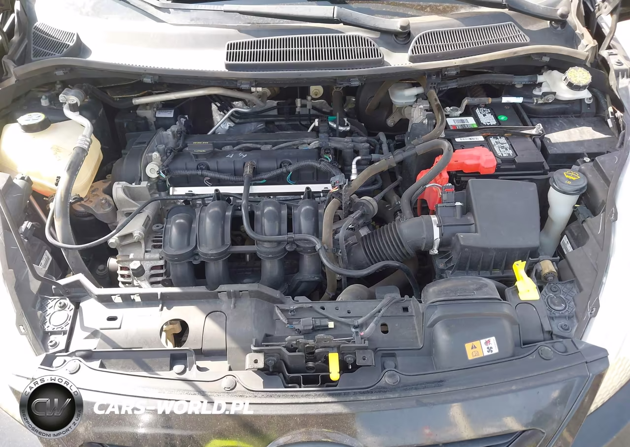 2013 Ford Fiesta Se VIN:3FADP4EJ9DM113850 - 10