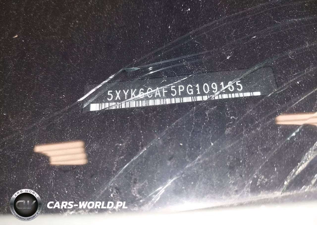 2023 Kia Sportage X-Line VIN:5XYK6CAF5PG109165 - 9