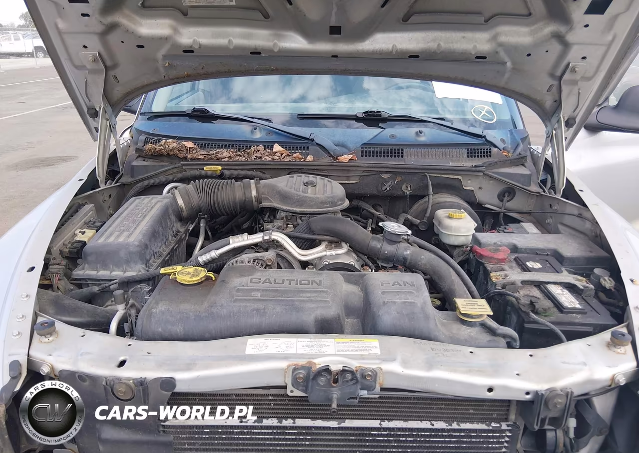 2003 Dodge Durango R-T VIN:1D4HS78Z13F553558 - 10