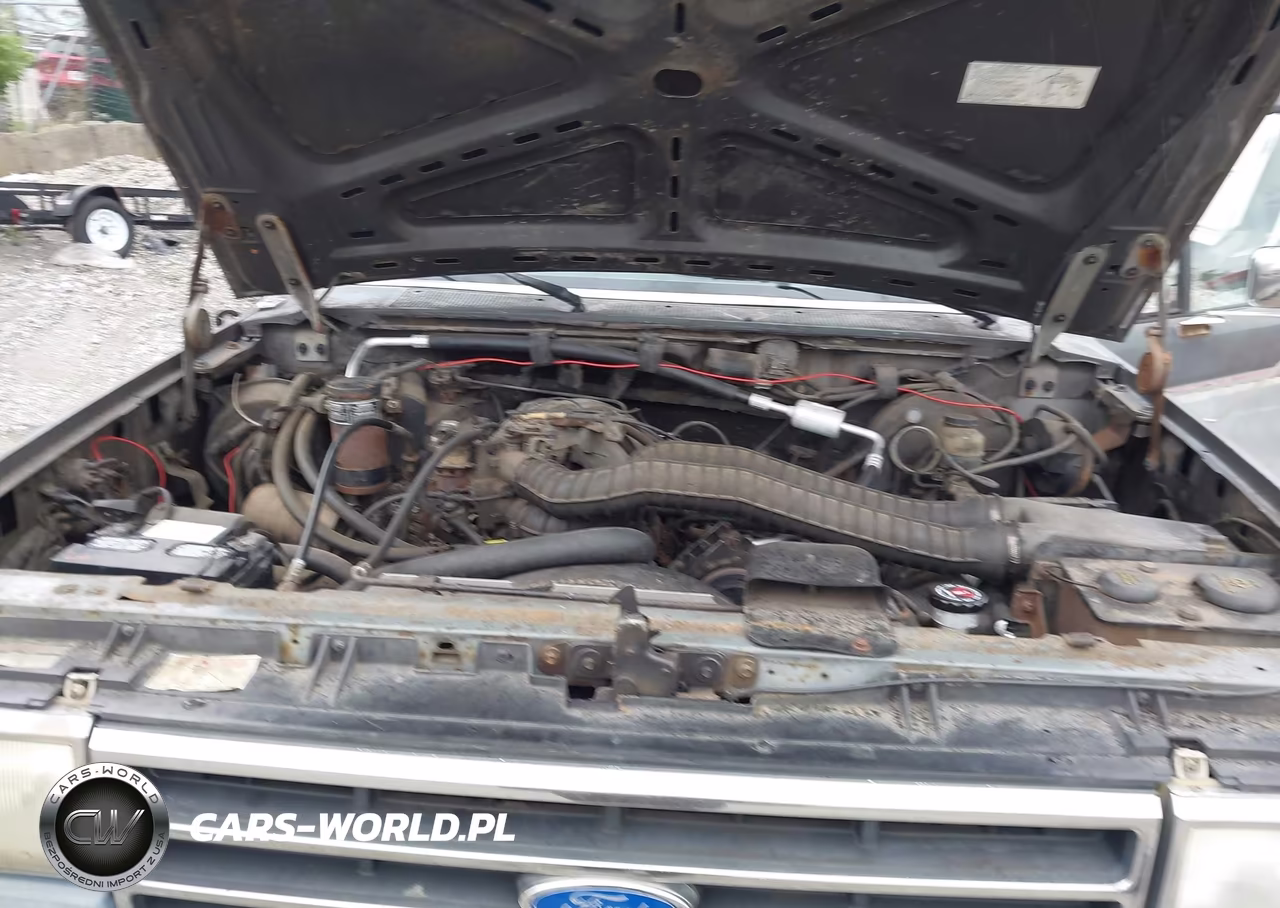 1991 Ford F150 VIN:1FTEX15N5MKA24378 - 10