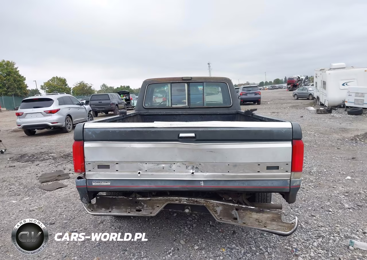 1991 Ford F150 VIN:1FTEX15N5MKA24378 - 16