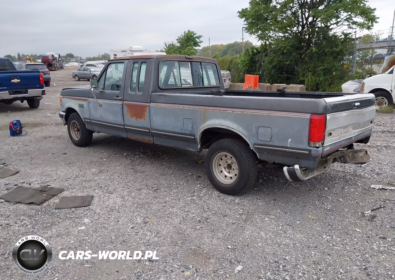 1991 Ford F150 VIN:1FTEX15N5MKA24378 - 3