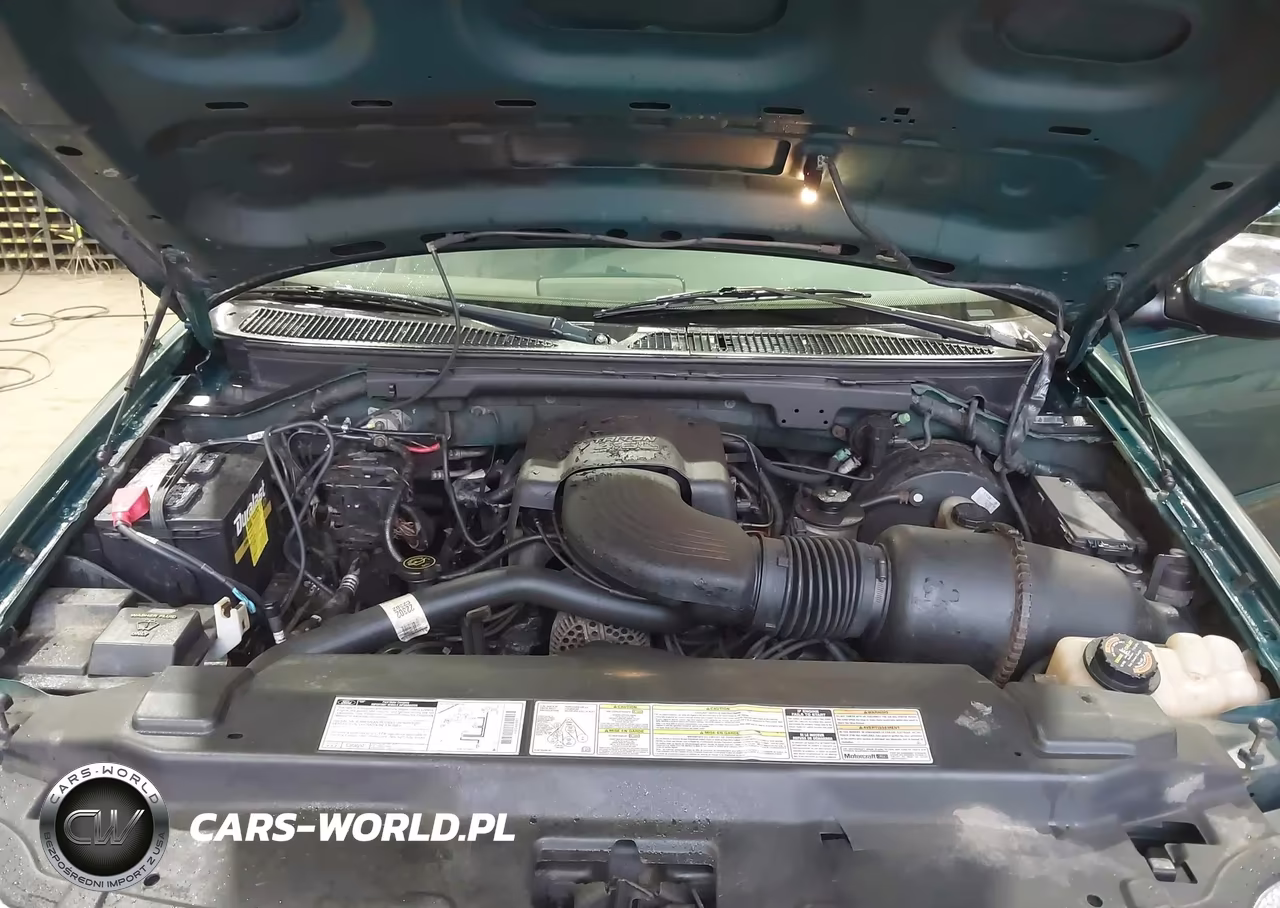 1999 Ford F-150 Lariat-Work Series-Xl-Xlt VIN:2FTRX17W1XCA32722 - 10
