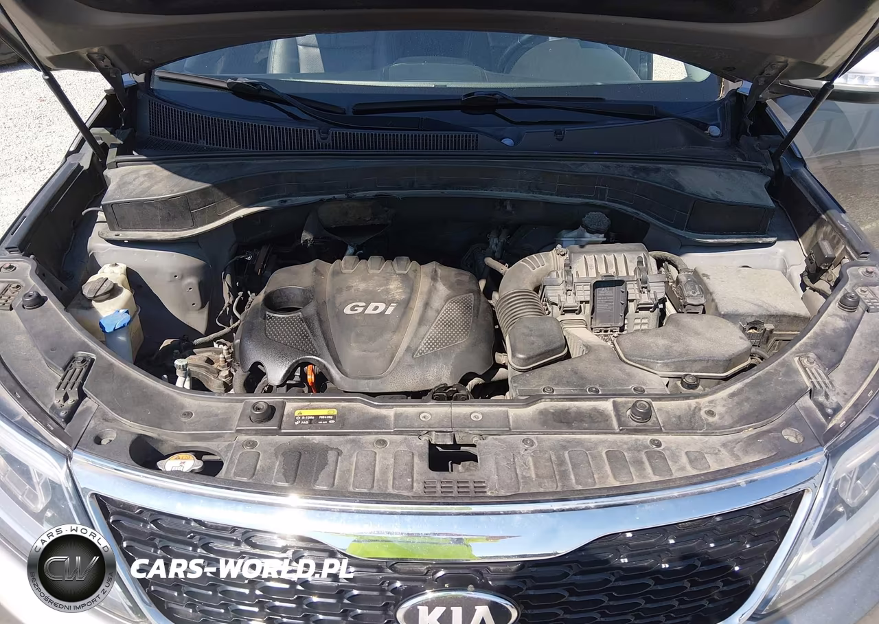 2014 Kia Sorento Lx VIN:5XYKTDA66EG489189 - 10