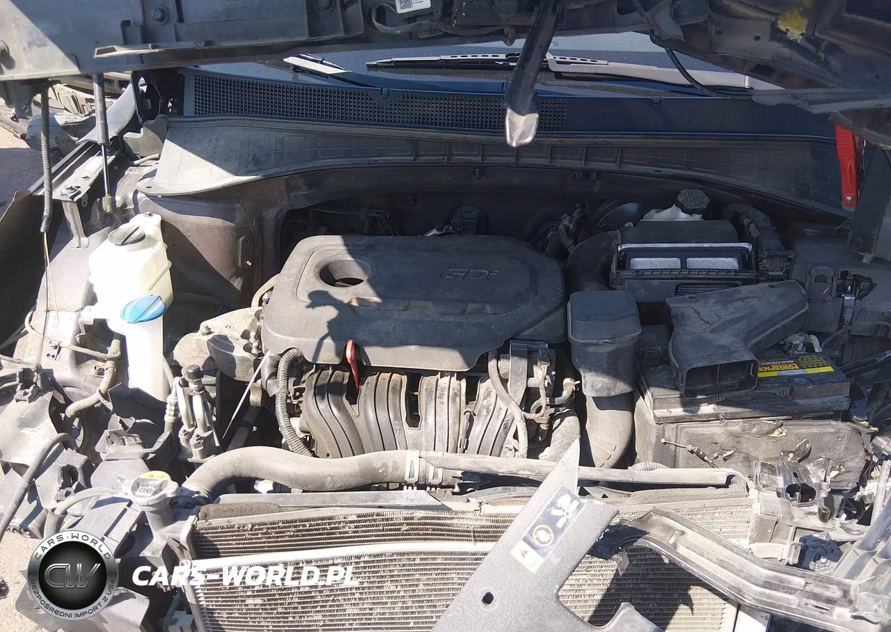2019 Kia Sorento 2.4L Lx VIN:5XYPG4A35KG448192 - 10