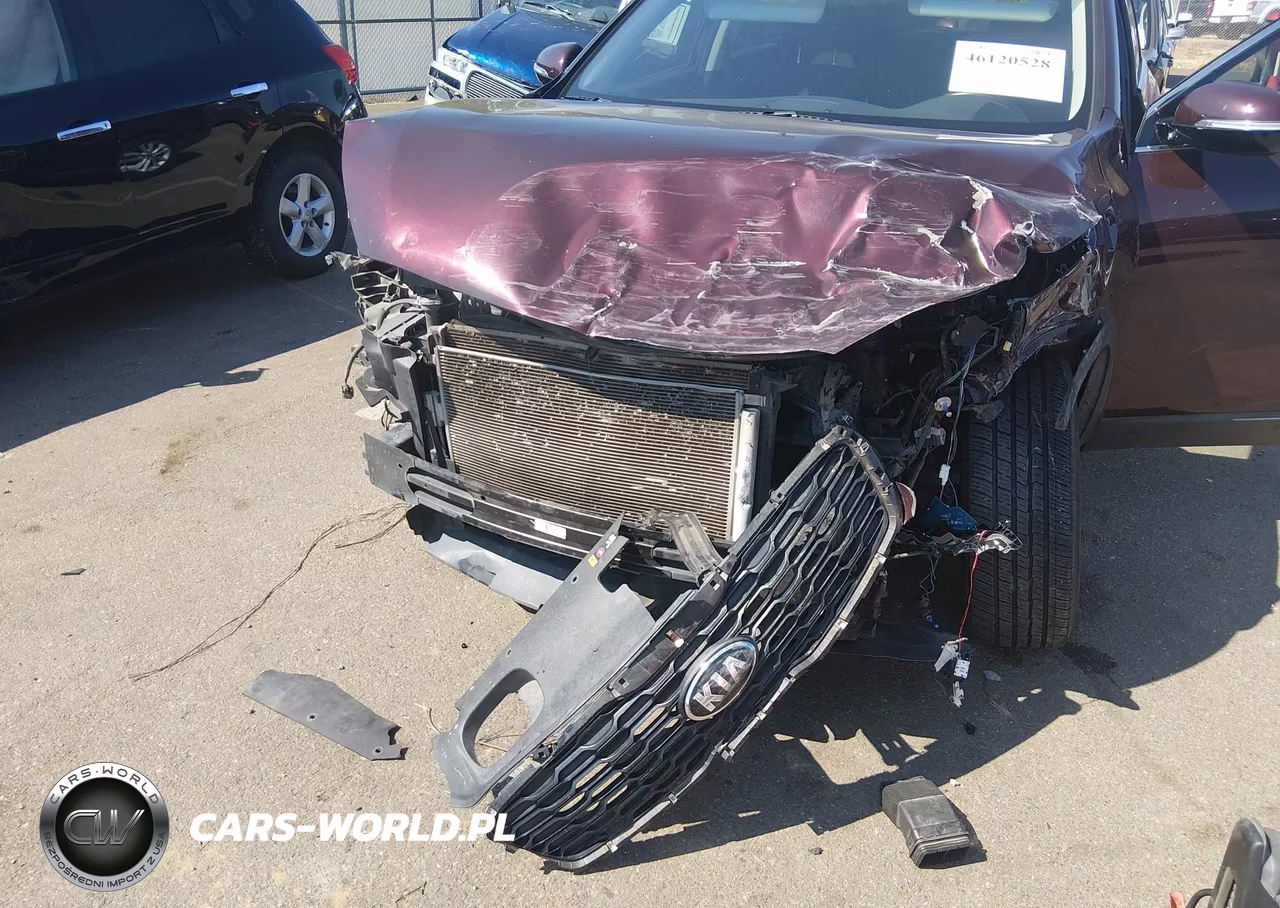 2019 Kia Sorento 2.4L Lx VIN:5XYPG4A35KG448192 - 6