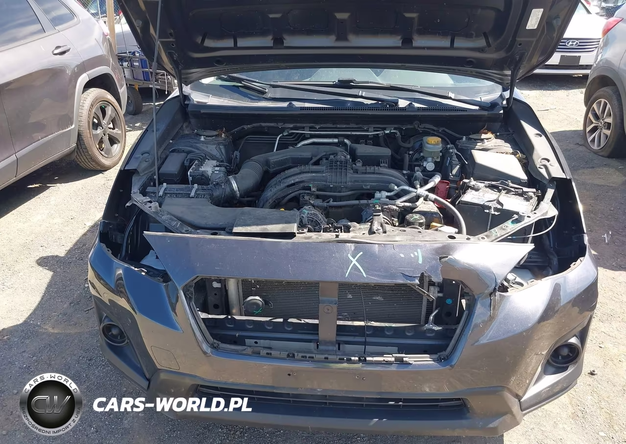 2019 Subaru Crosstrek 2.0I VIN:JF2GTABC8K8339386 - 6