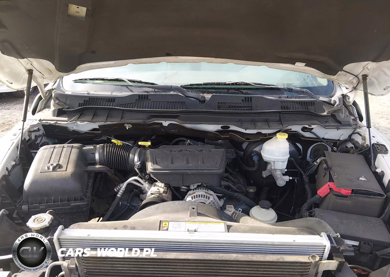 2010 Dodge Ram 1500 St VIN:3D7JB1EP4AG171685 - 10