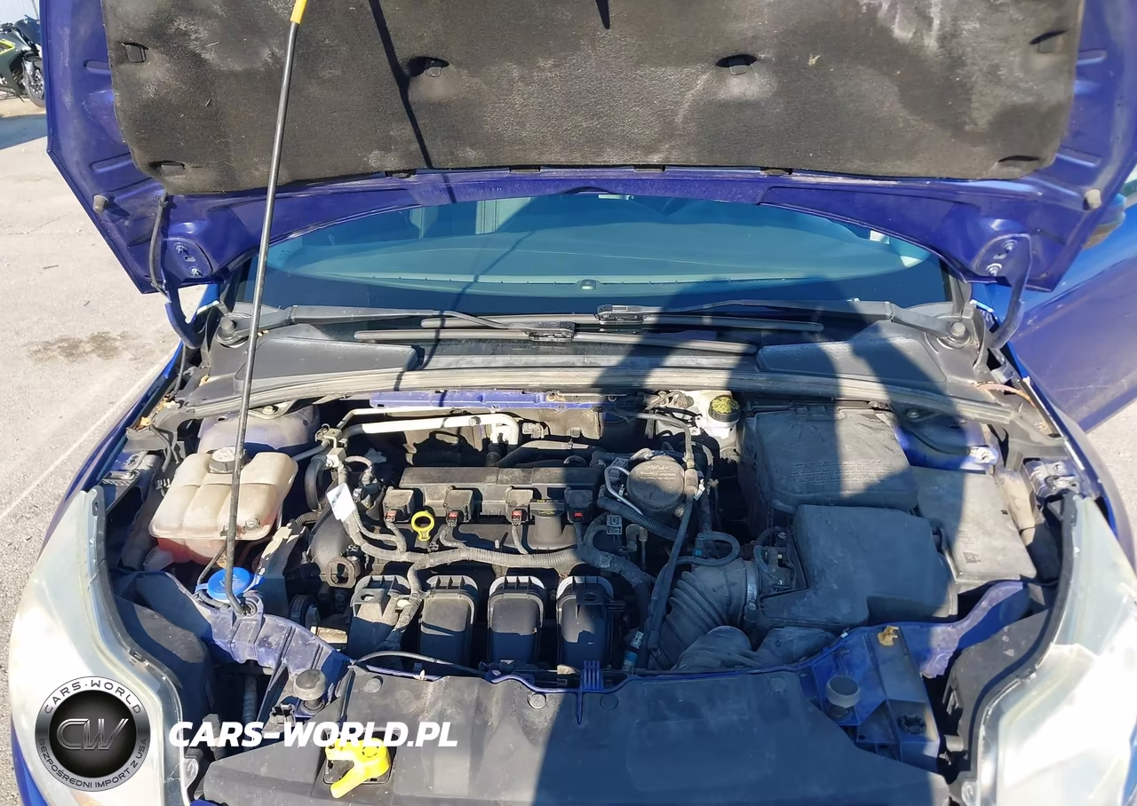 2013 Ford Focus Se VIN:1FADP3F25DL137324 - 10