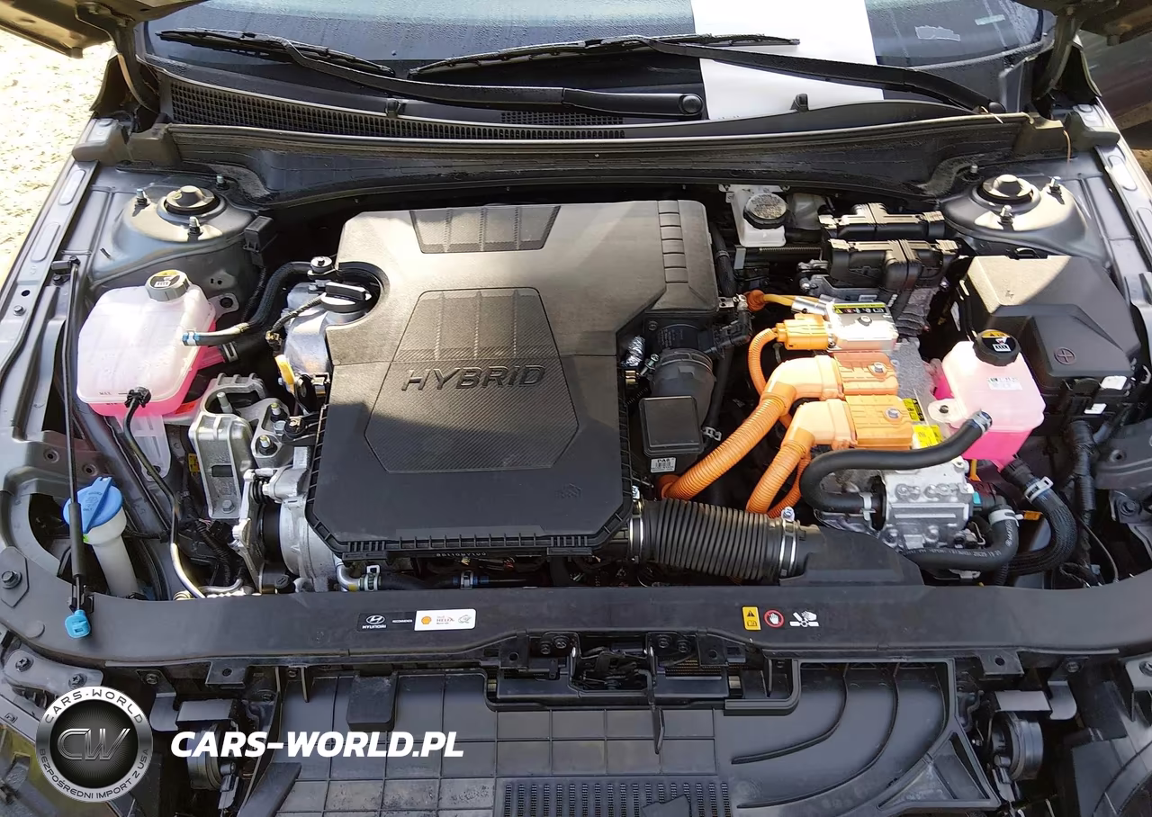 2025 Hyundai Elantra Hybrid Limited VIN:KMHLN4DJ3SU165637 - 10