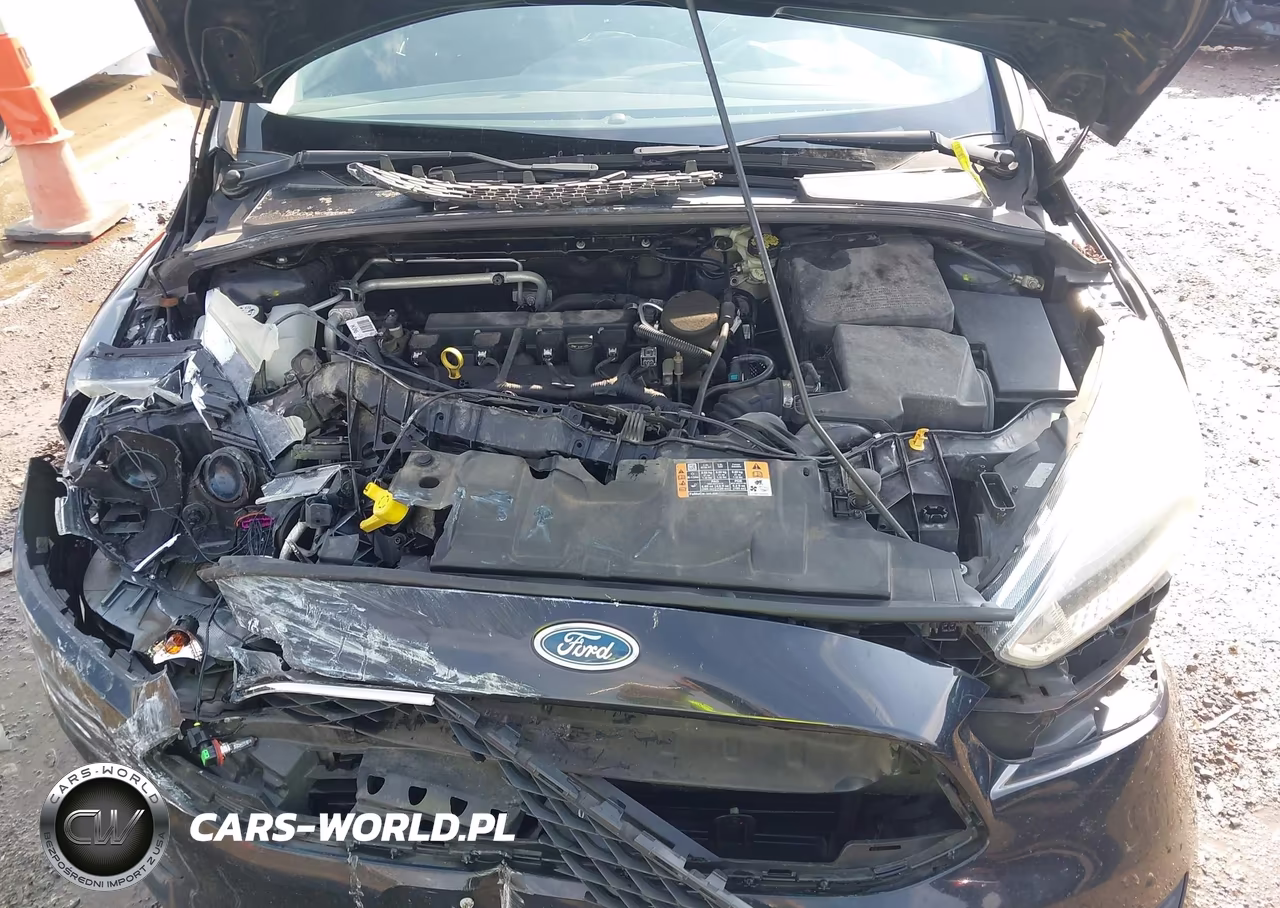 2016 Ford Focus Se VIN:1FADP3F28GL250463 - 10