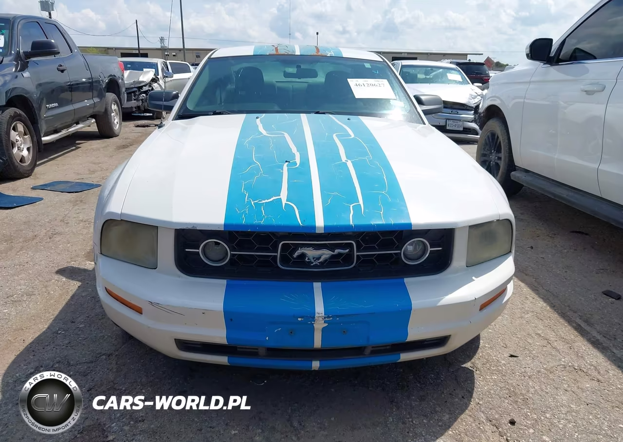2006 Ford Mustang V6 VIN:1ZVFT80N865168232 - 12