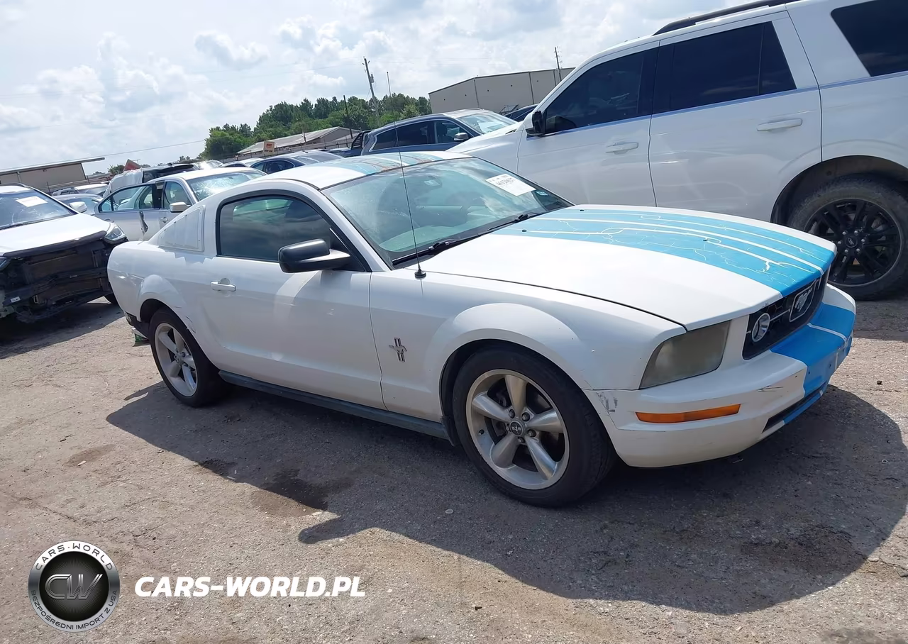 2006 Ford Mustang V6 VIN:1ZVFT80N865168232 - 13
