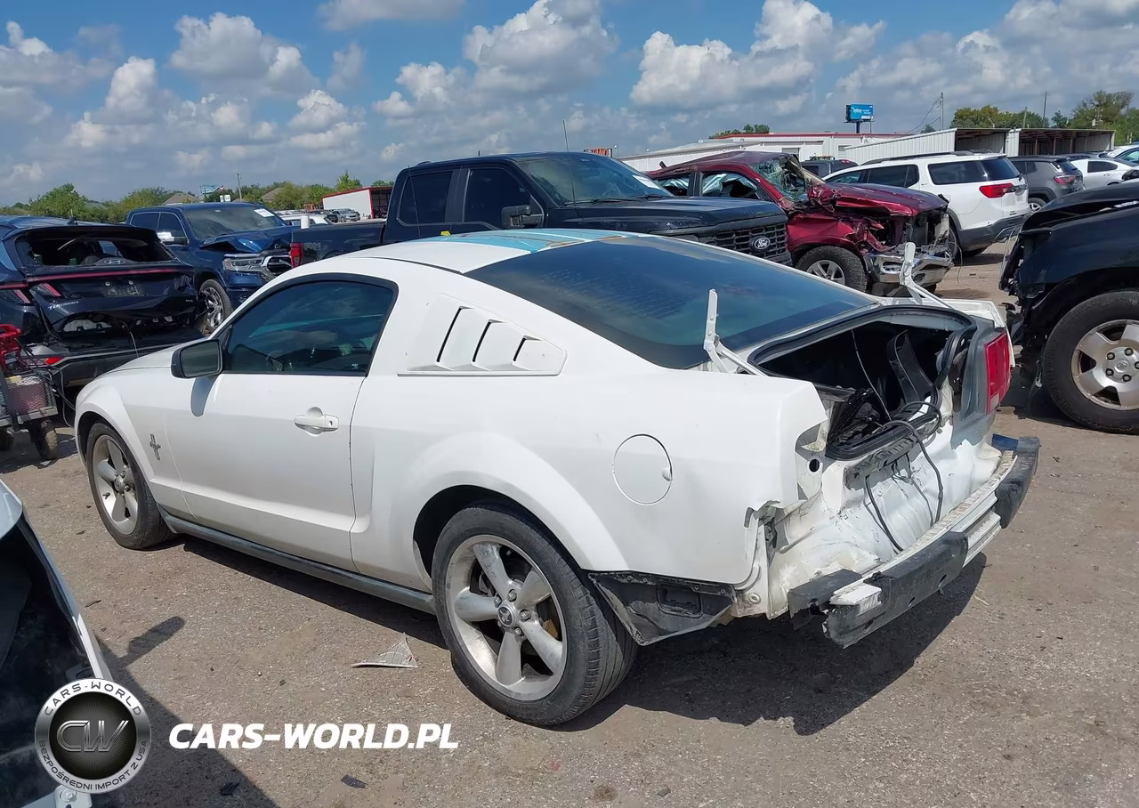 2006 Ford Mustang V6 VIN:1ZVFT80N865168232 - 14