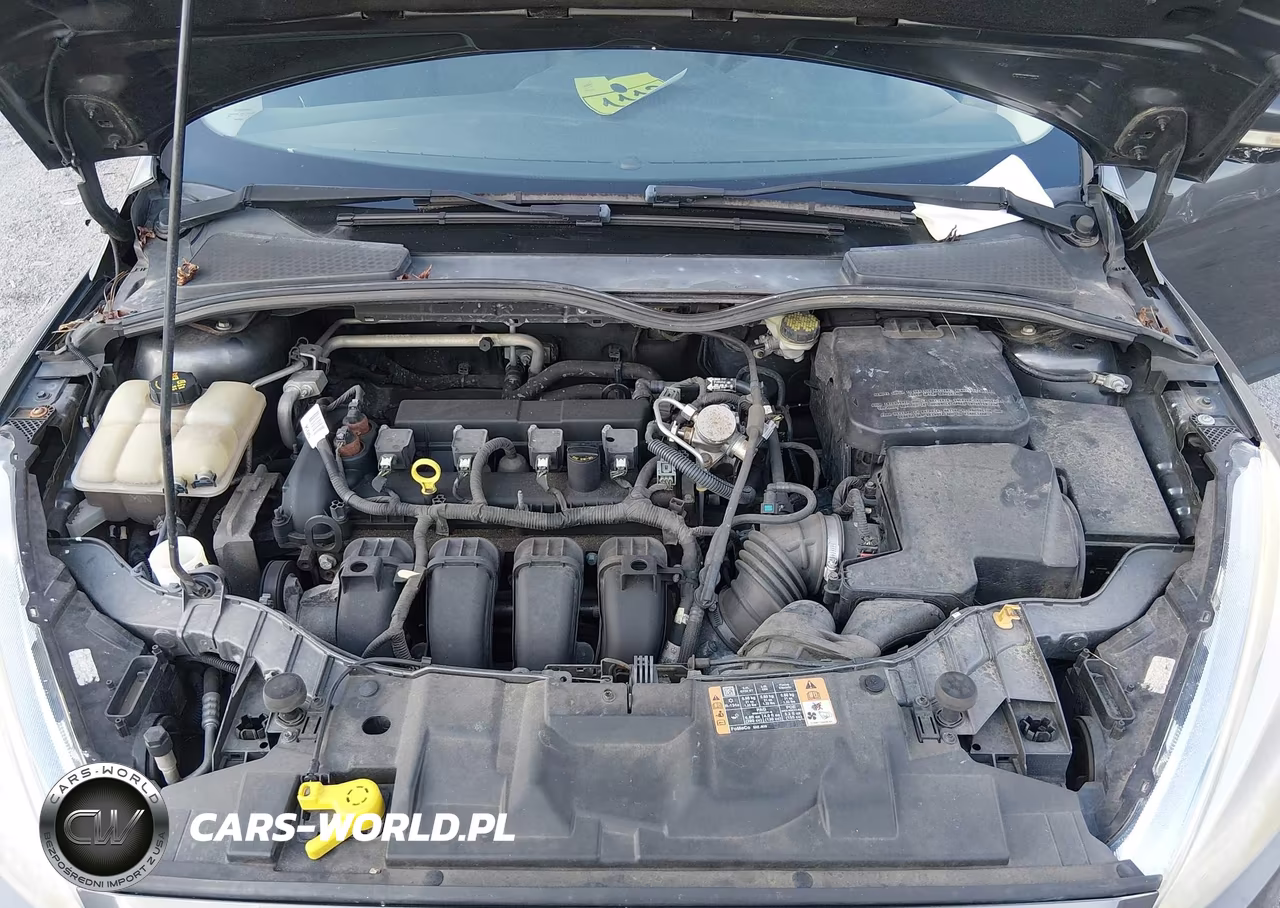 2016 Ford Focus Se VIN:1FADP3K26GL369988 - 10