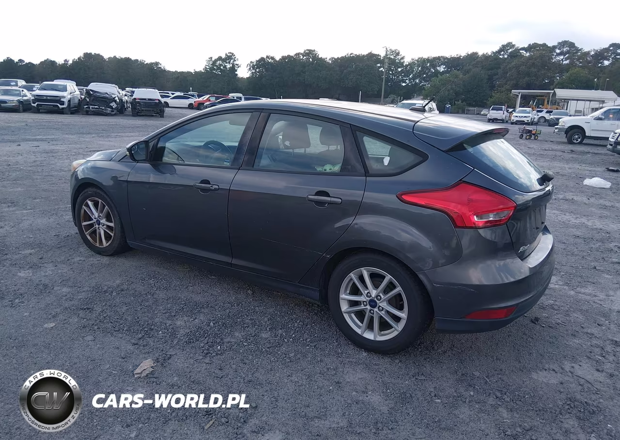 2016 Ford Focus Se VIN:1FADP3K26GL369988 - 3