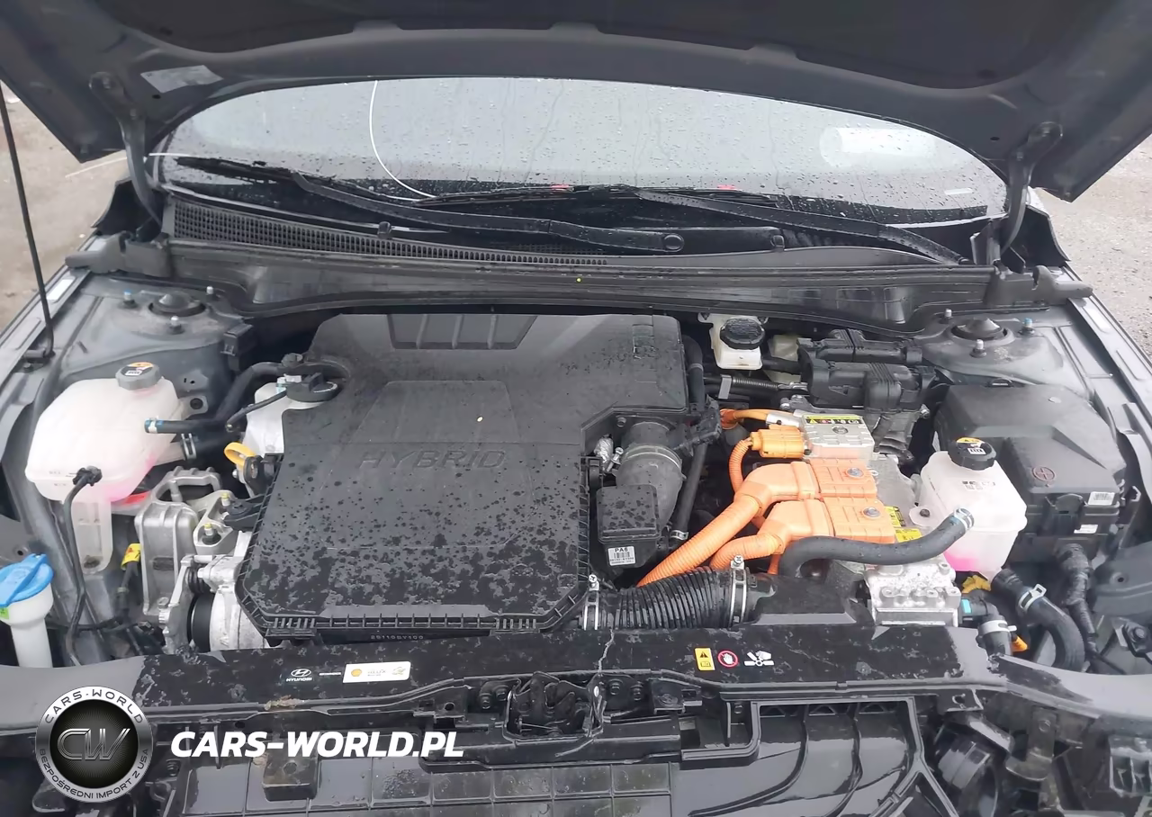 2025 Hyundai Elantra Hybrid Sel Sport VIN:KMHLM4DJ9SU126957 - 10