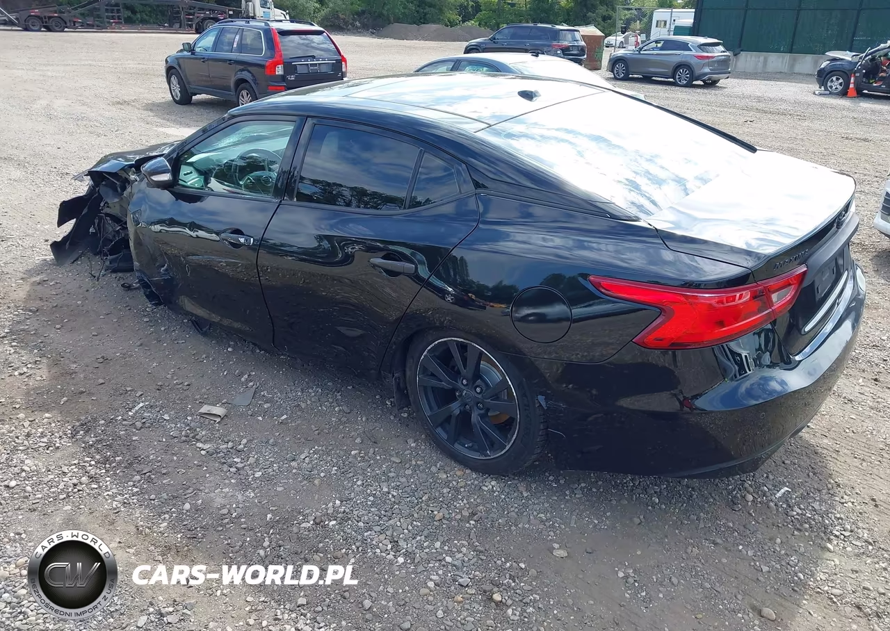 2017 Nissan Maxima 3.5 Platinum VIN:1N4AA6AP7HC365906 - 3