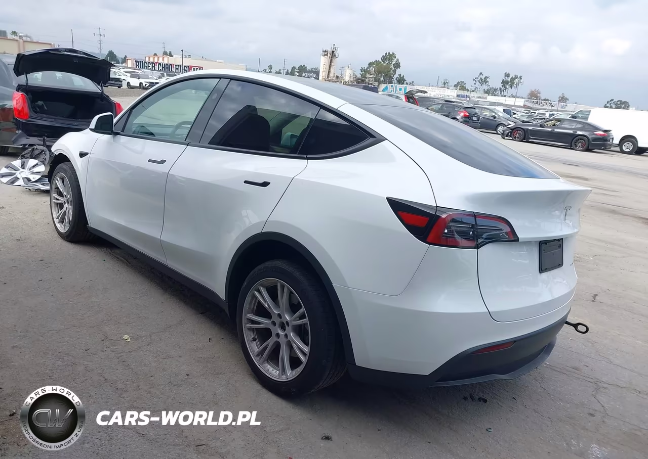 2024 Tesla Model Y Long Range Dual Motor All-Wheel Drive VIN:7SAYGAEE8RF057489 - 3