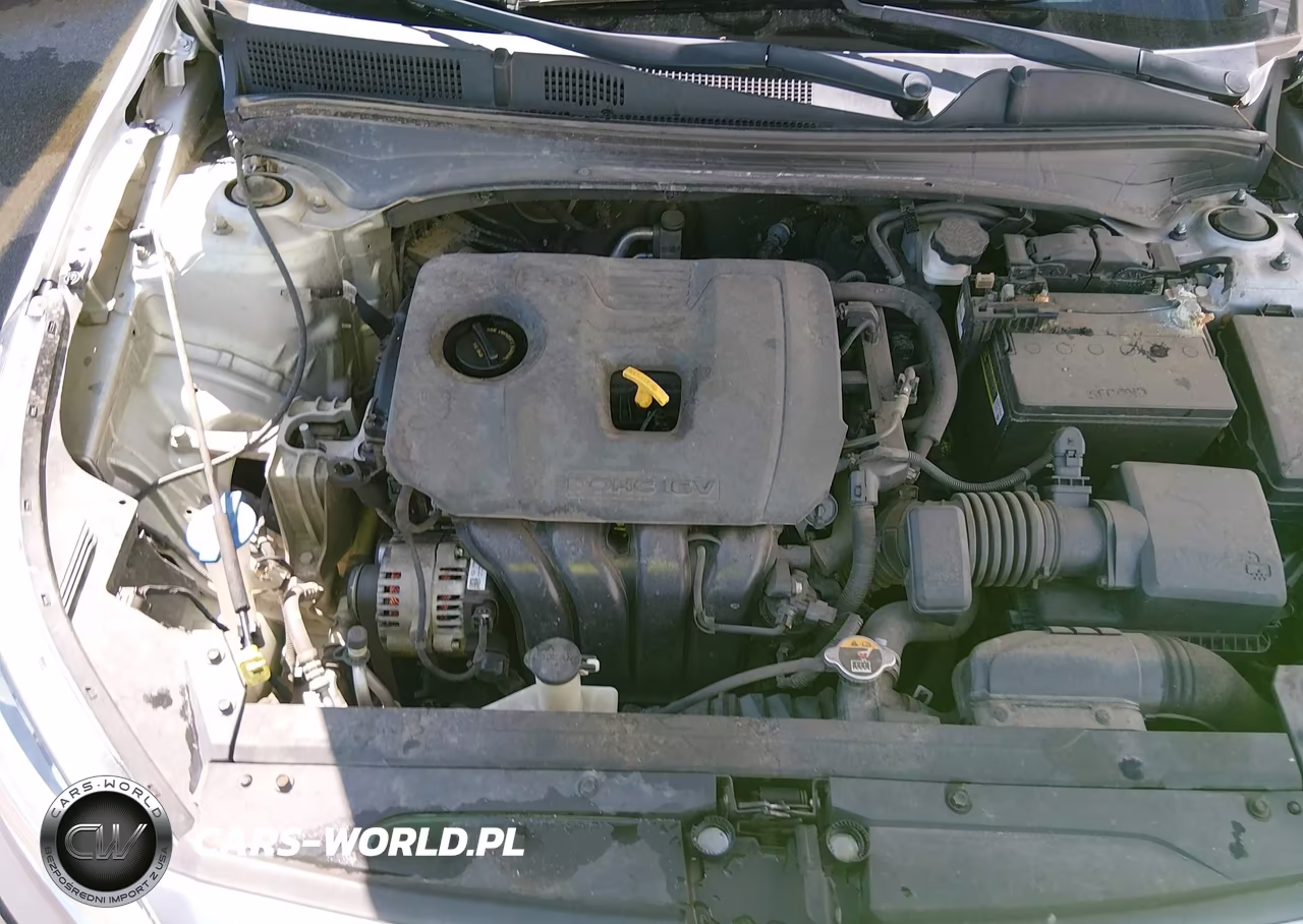 2019 Kia Forte Lxs VIN:3KPF24ADXKE006119 - 10