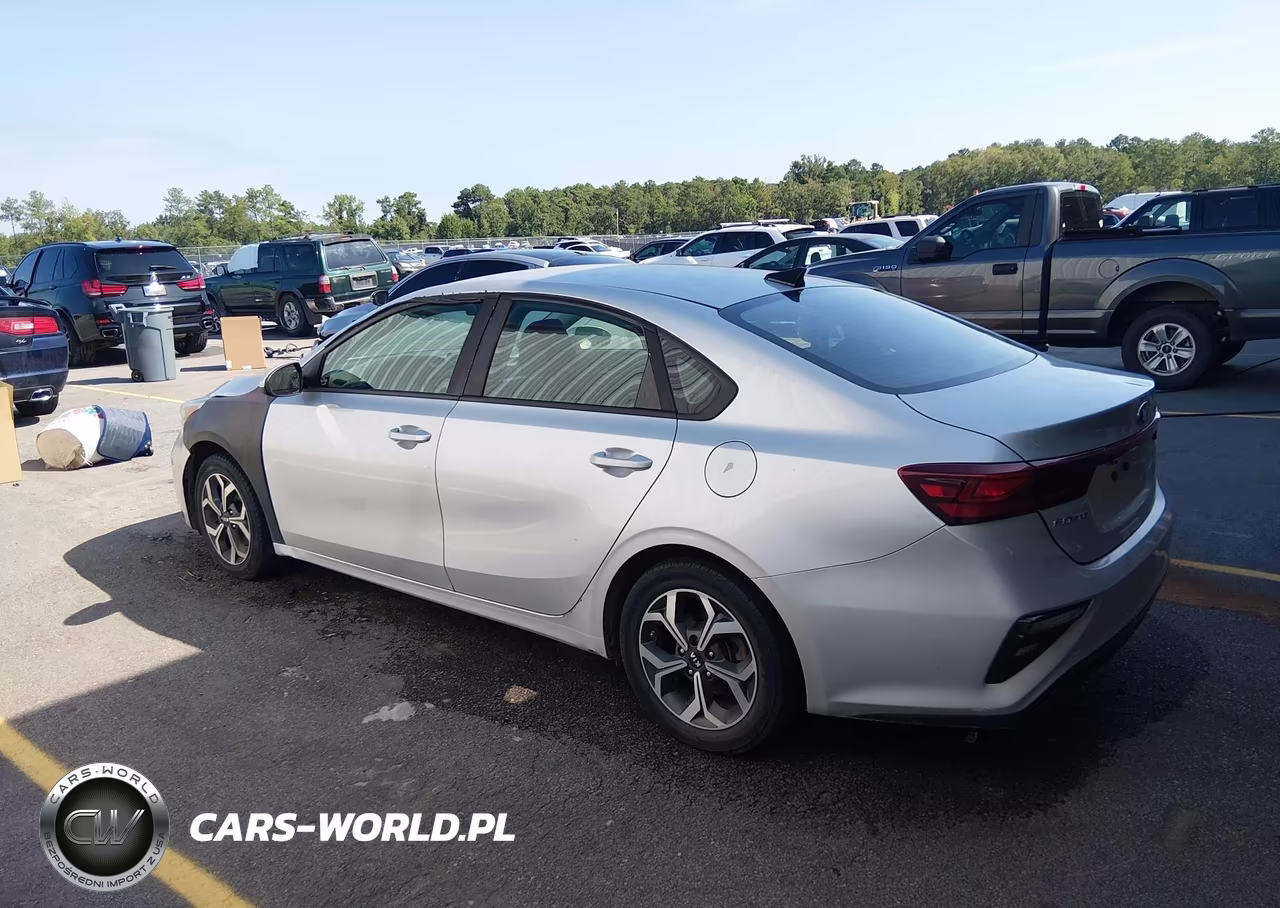 2019 Kia Forte Lxs VIN:3KPF24ADXKE006119 - 3