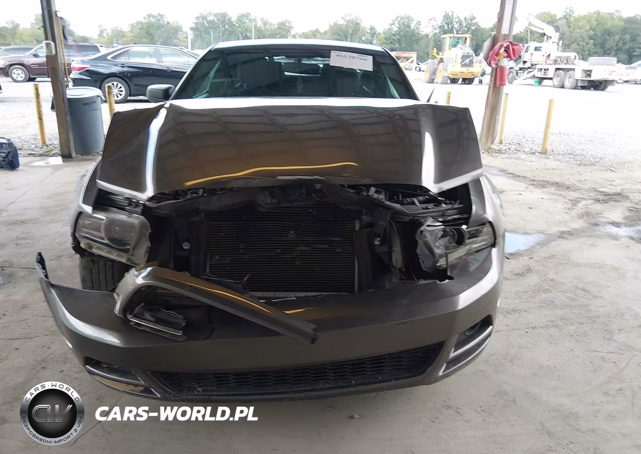 2014 Ford Mustang V6 VIN:1ZVBP8AM8E5313857 - 12
