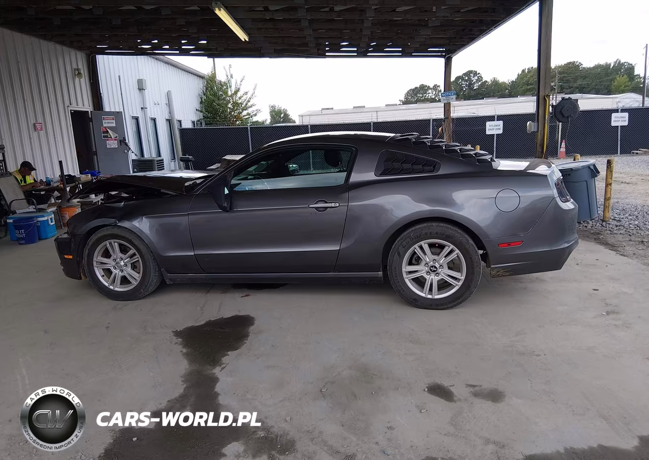 2014 Ford Mustang V6 VIN:1ZVBP8AM8E5313857 - 14