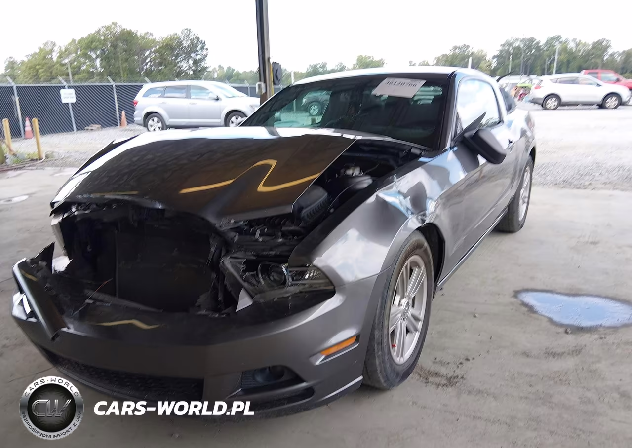 2014 Ford Mustang V6 VIN:1ZVBP8AM8E5313857 - 19